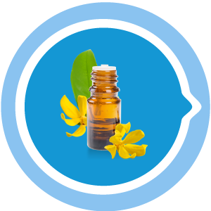 No More Lice μία φυσική από έλαια λοσιόν για την 100% καταπολέμιση των ψειρών. Κλινικά Αποδεδειγμένη Δράση, Εύκολη εφαρμογή, λειτουργεί γρήγορα, χωρίς παρενέργειες, φυσικά. No More Lice μία φυσική από έλαια λοσιόν για την 100% καταπολέμιση των ψειρών. Κλινικά Αποδεδειγμένη Δράση, Εύκολη εφαρμογή, λειτουργεί γρήγορα, χωρίς παρενέργειες, φυσικά.